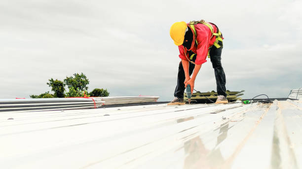 Roof Coating Services in Chesnut Hill, PA